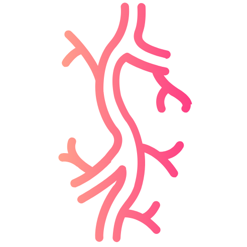 Diagnostica Vascolare