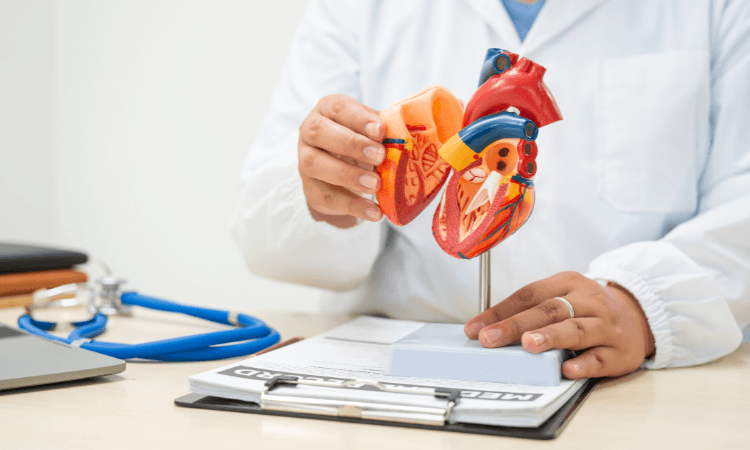 Diagnostica Cardiologica